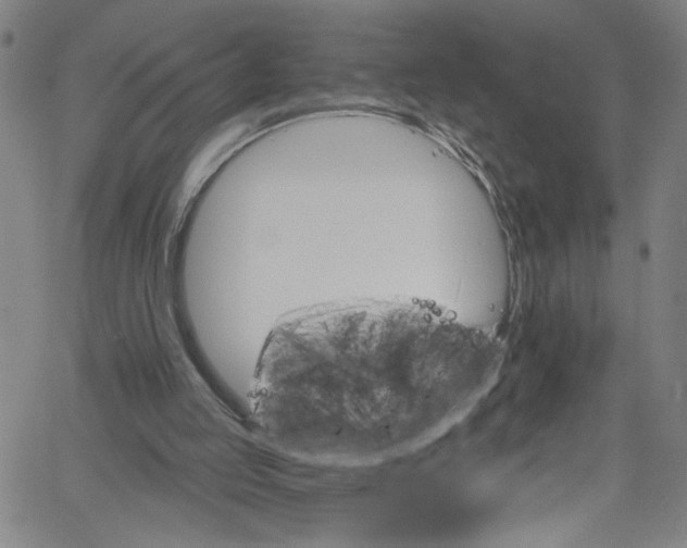 X0000061150053200512161606