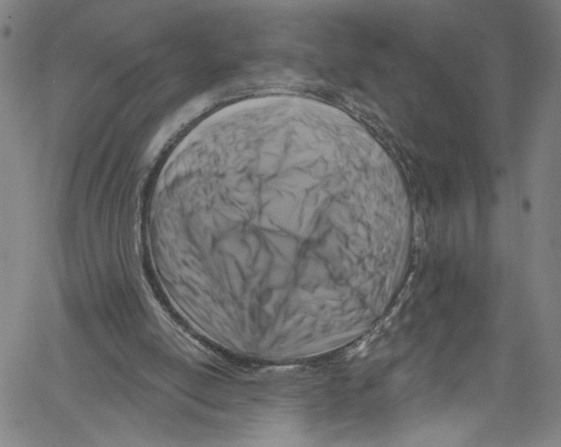 X0000061150054200512161606