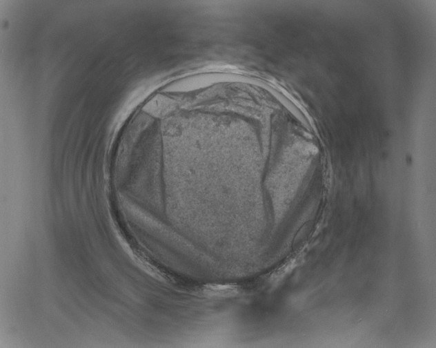 X0000061150055200512161606