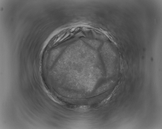 X0000061150056200512161606