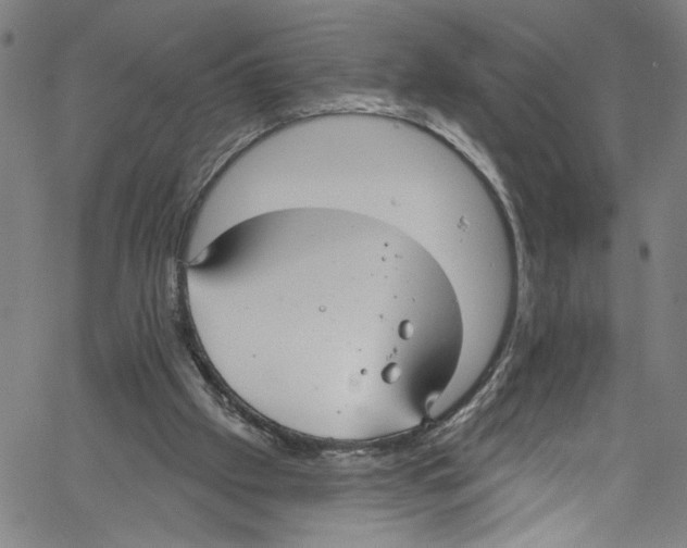 X0000061150057200512161606