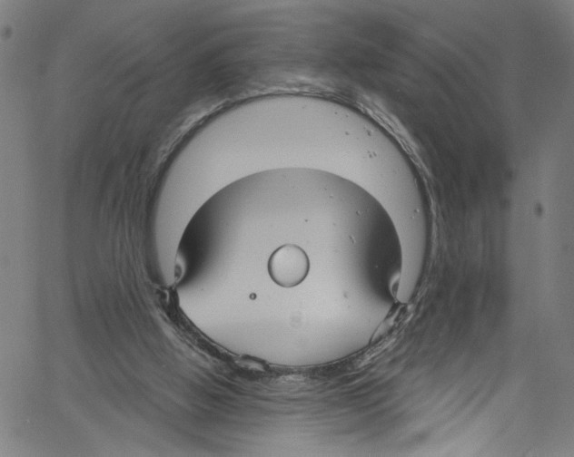 X0000061150058200512161606