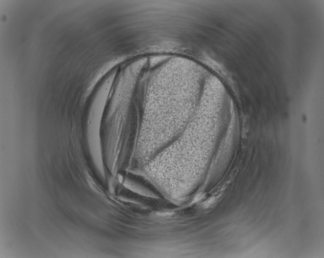 X0000061150060200512161606