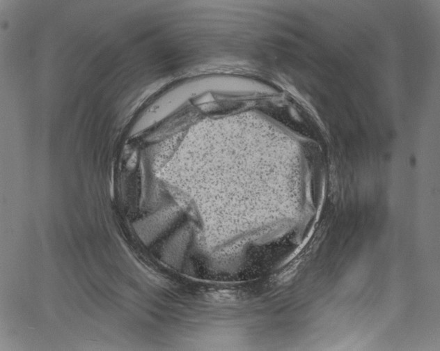 X0000061150062200512161606