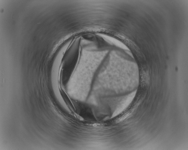 X0000061150064200512161606