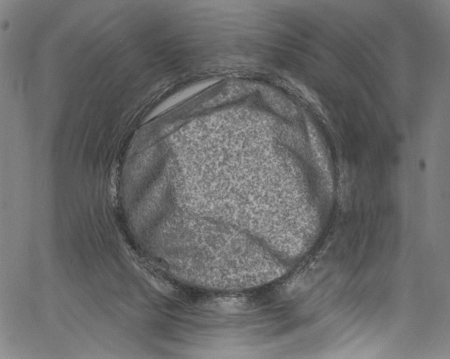 X0000061150065200512161606