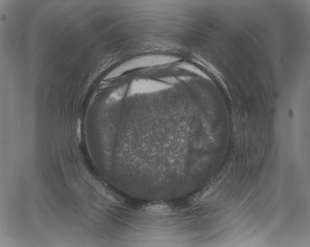 X0000061150067200512161606