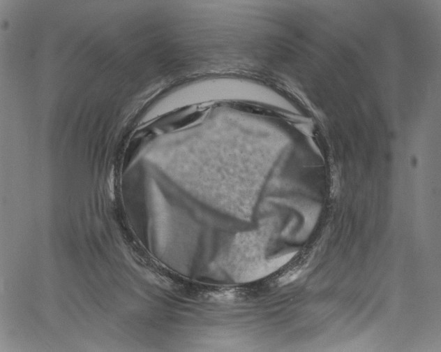 X0000061150068200512161606