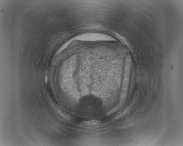 X0000061150069200512161606