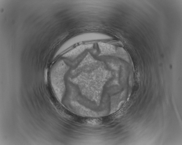 X0000061150070200512161606