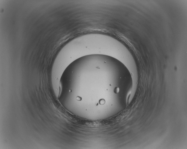 X0000061150071200512161606