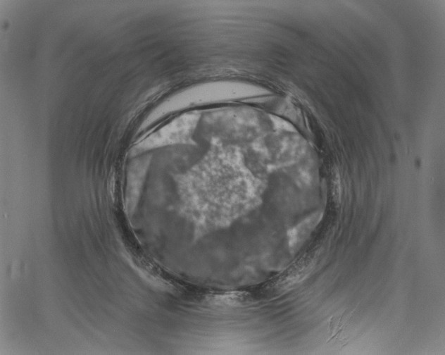 X0000061150072200512161606