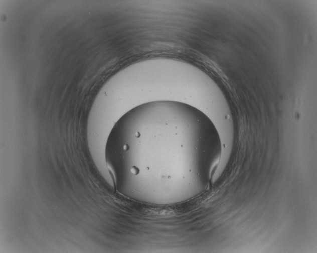 X0000061150073200512161606