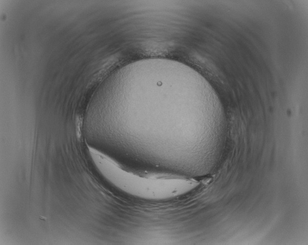 X0000061150075200512161606