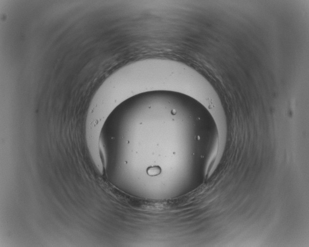 X0000061150079200512161606