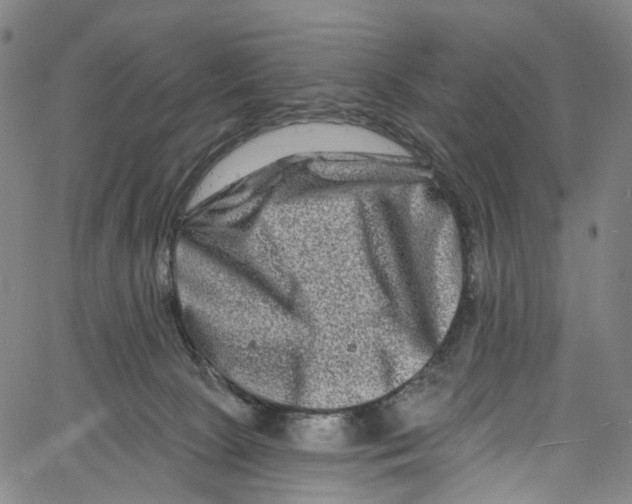 X0000061150081200512161606