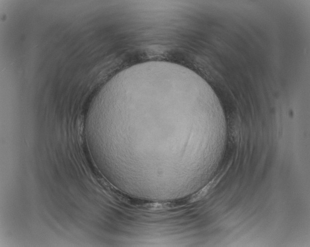 X0000061150082200512161606