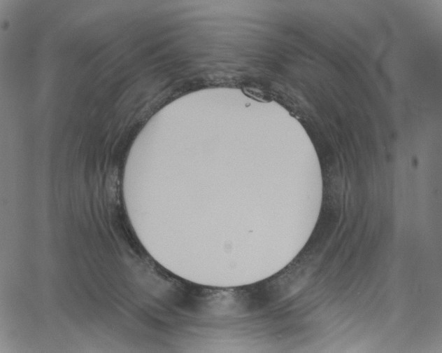 X0000061150083200512161606