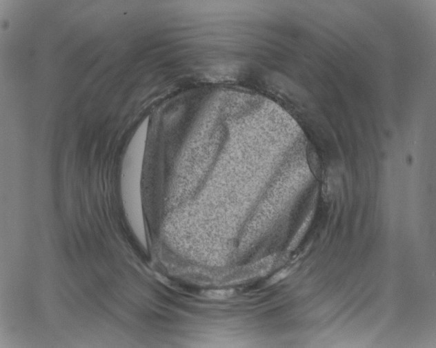 X0000061150084200512161606