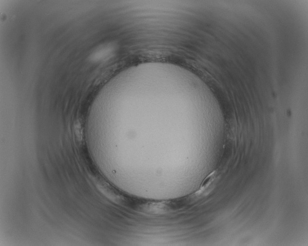 X0000061150086200512161606