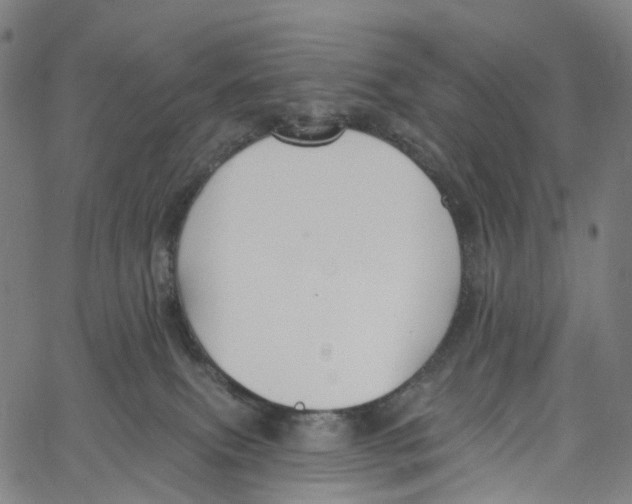 X0000061150087200512161606