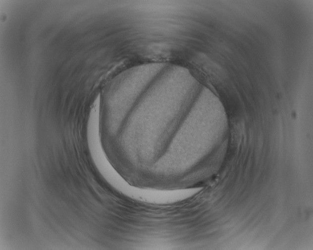 X0000061150088200512161606