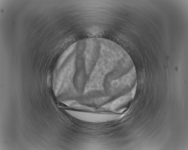 X0000061150090200512161606