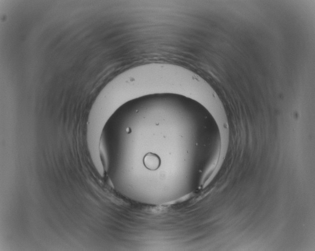 X0000061150092200512161606