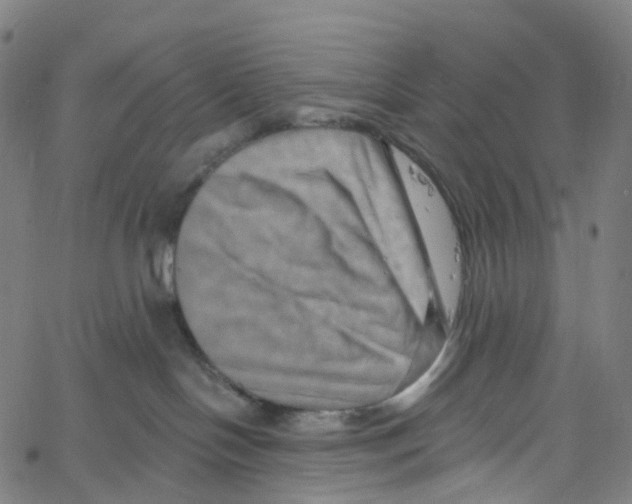 X0000061150094200512161606