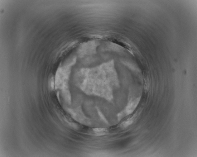 X0000061150095200512161606