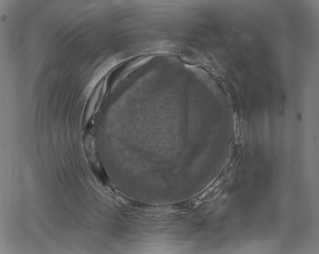 X0000061150099200512161605