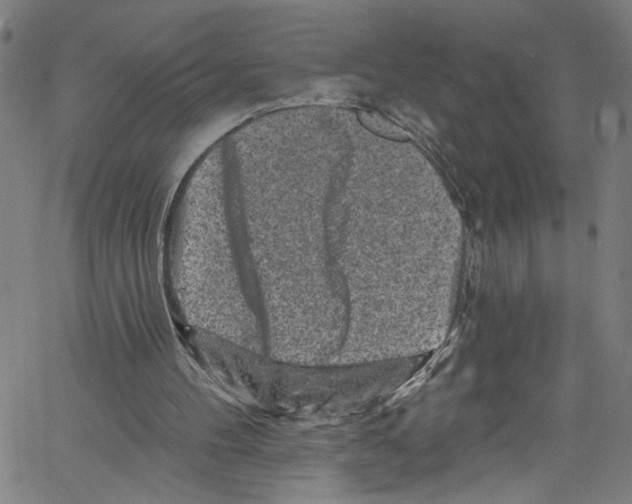 X0000061150100200512161605