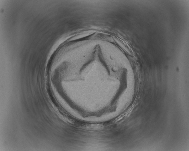 X0000061150102200512161605