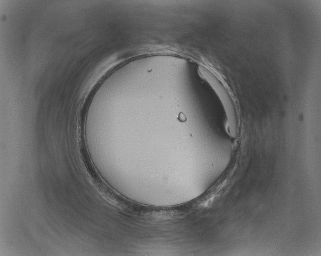 X0000061150103200512161605