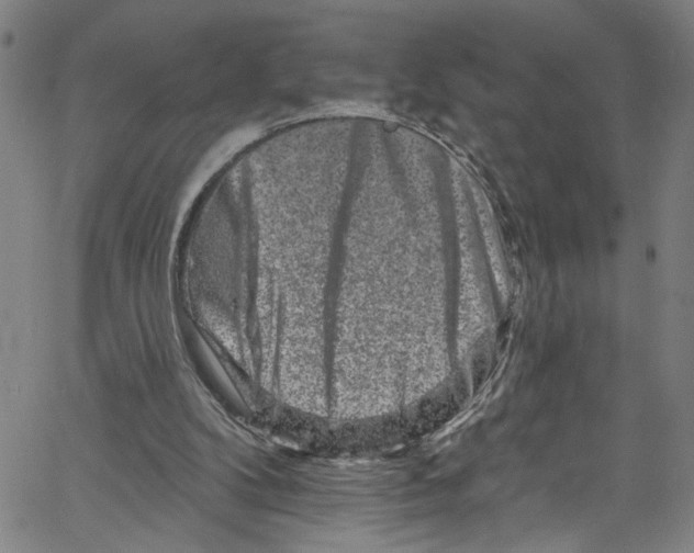 X0000061150104200512161605