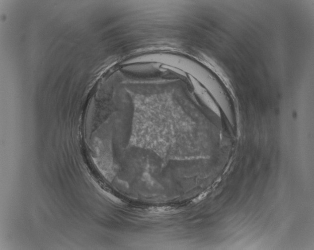 X0000061150105200512161605