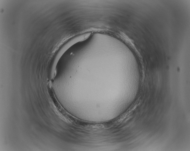 X0000061150106200512161605