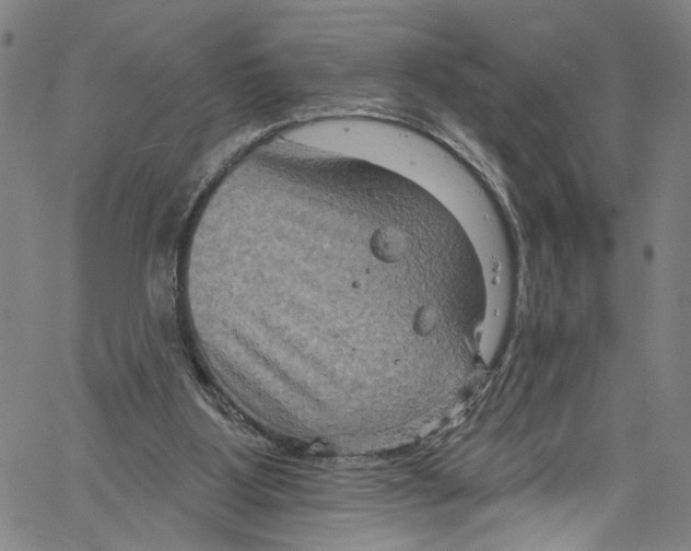 X0000061150107200512161605