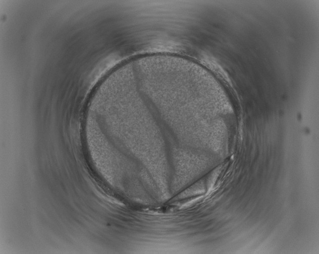 X0000061150108200512161605