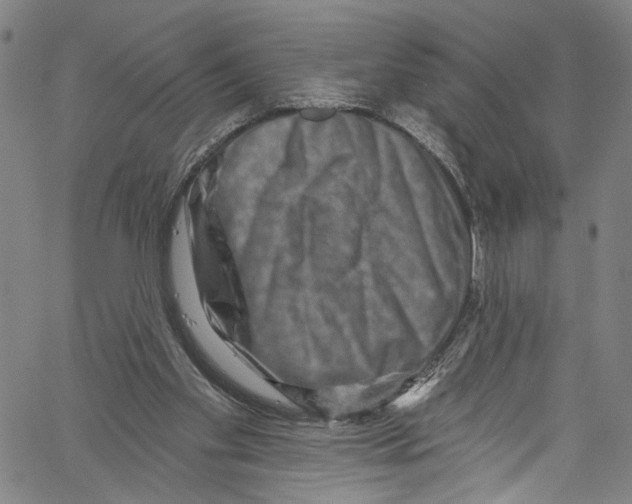 X0000061150109200512161605