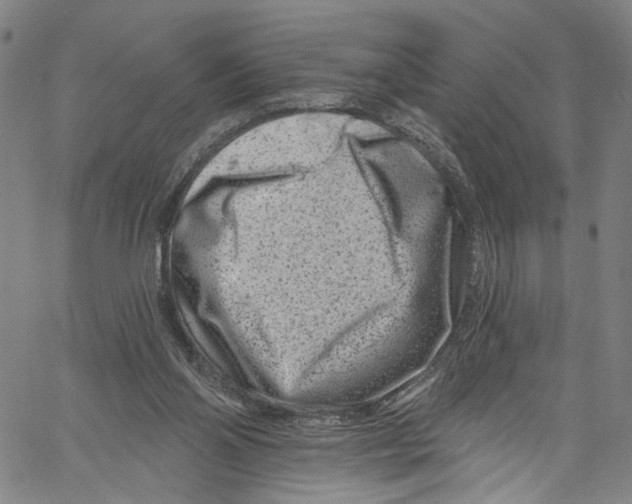 X0000061150110200512161605