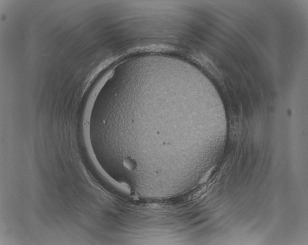 X0000061150111200512161605