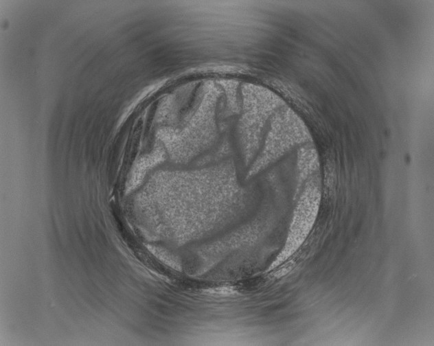 X0000061150112200512161605