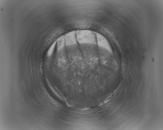 X0000061150114200512161605