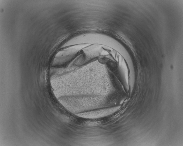 X0000061150115200512161605