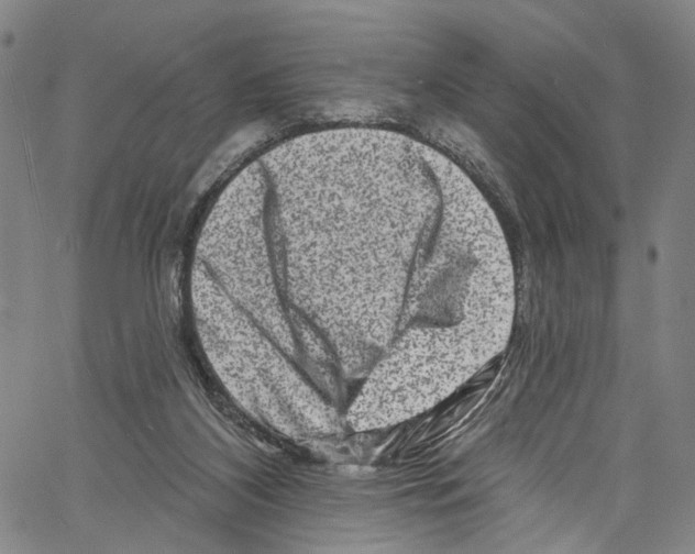 X0000061150116200512161605