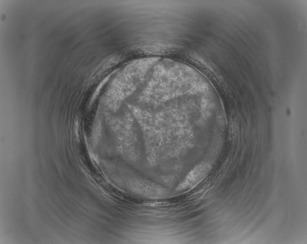 X0000061150117200512161605