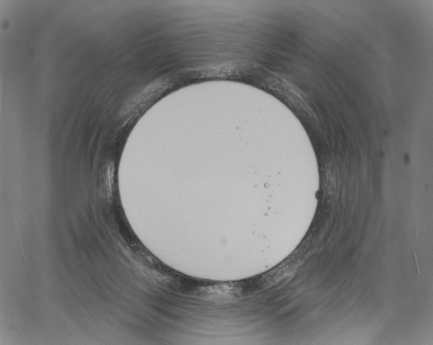 X0000061150118200512161605