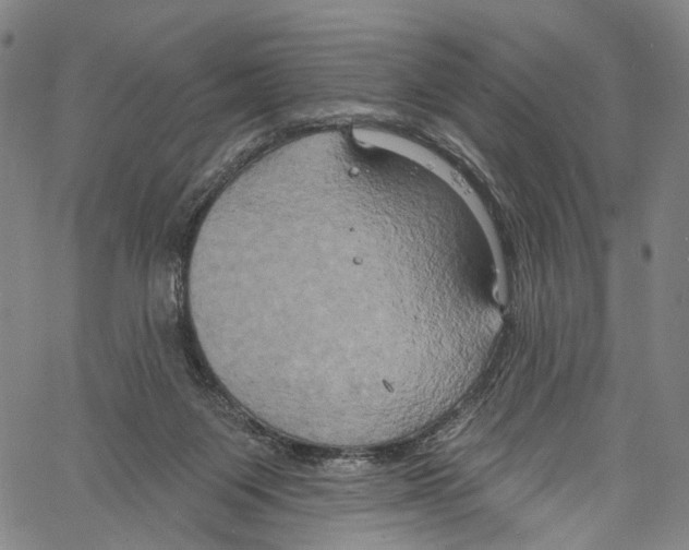 X0000061150119200512161605