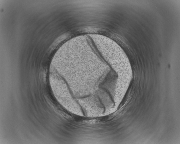 X0000061150120200512161605